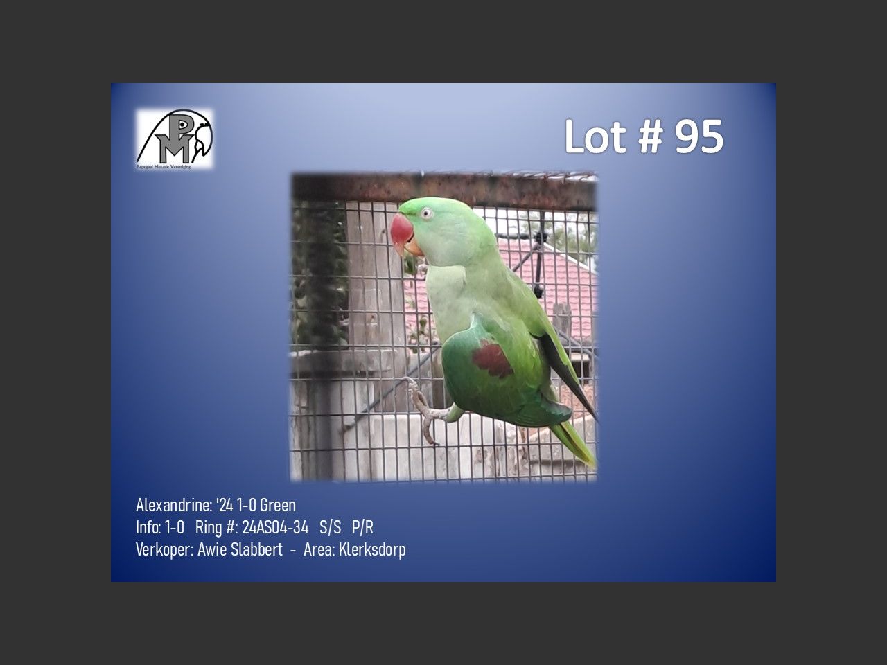 images