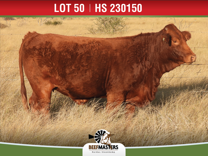 HS 230150 | G.A. STEENKAMP