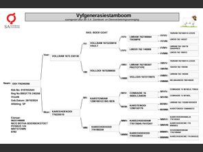 genetic_data