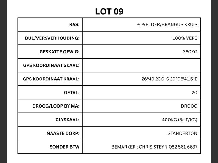 BOVELDER/BRANGUS KRUIS