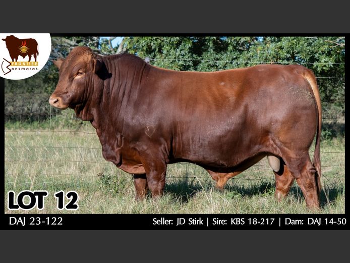 DAJ 230122 | J.D. STIRK