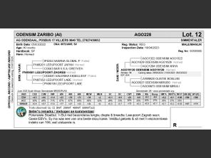 genetic_data