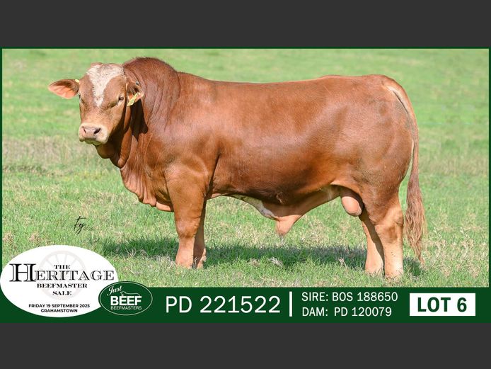 PD221522 | SUPER PRO DAIRY