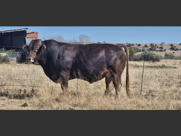 ELS 220002 | SP ELS FAMILIE TRUST