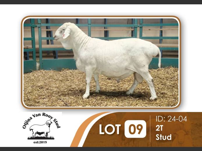 24-004 | BILLY KAZONGANGA