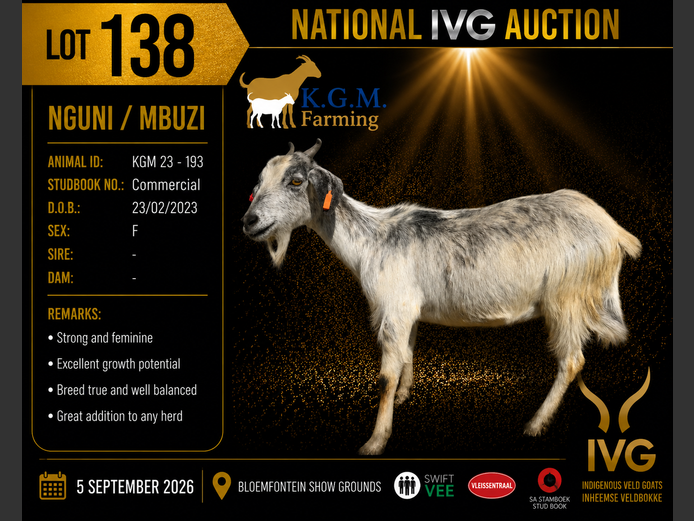 KGM 23-193 | KGM LIVESTOCK
