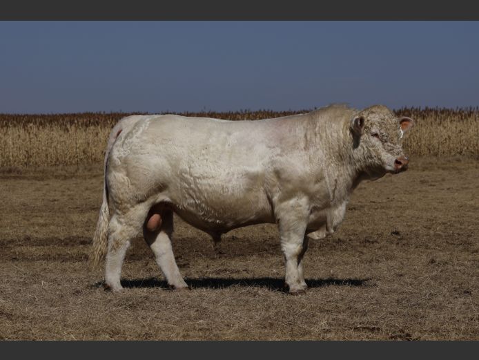 DS 230793