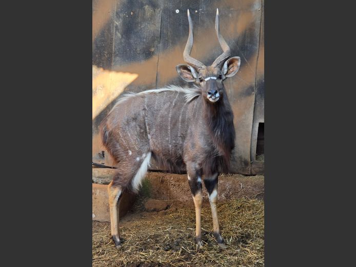 NJALA | TK BOERDERY