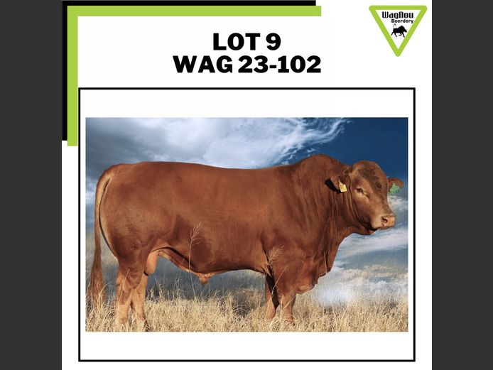 WAG 230102 | WAGNOU BOERDERY