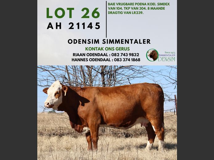 AH21145 | AG ODENDAAL
