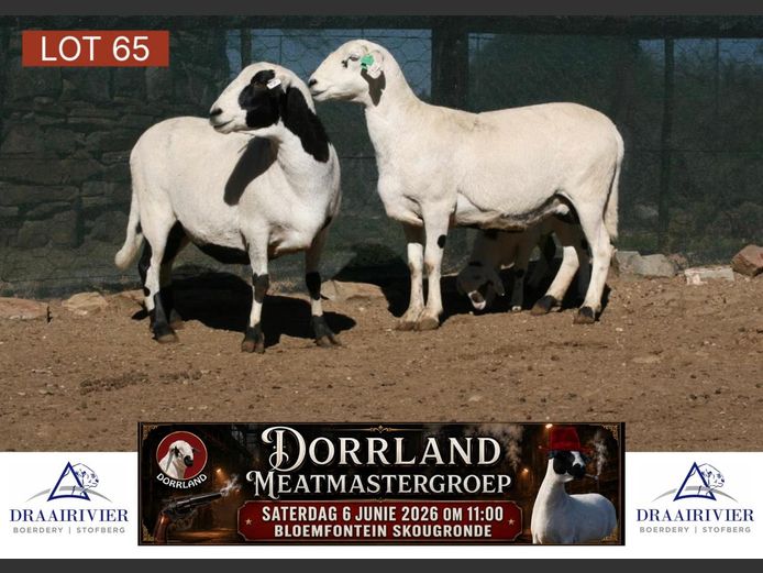 NS21-325 | Draairivier Boerdery