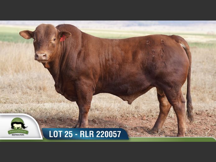 RLR 220057 | RHENOSTERVALLEI