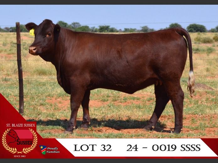 24-0019SSS | ST. BLAIZE SUSSEX