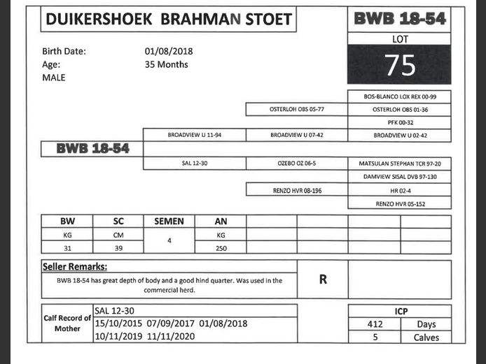 BWB 18-54