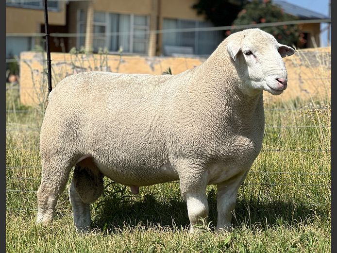 JB240109 | J.A BARNARD