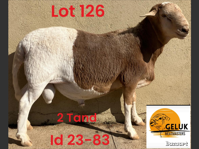 23-83 GM3 | GELUK MEATMASTERS 