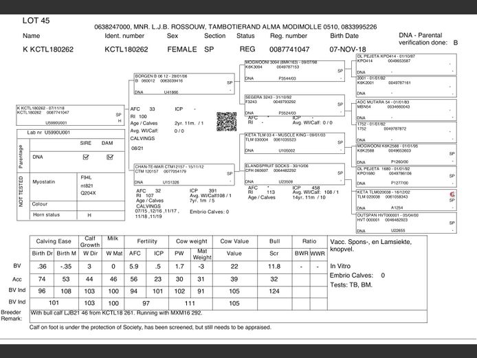 KCTL180262  