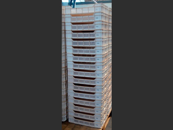 LOT OF 16: PLASTIC FRUIT CRATES