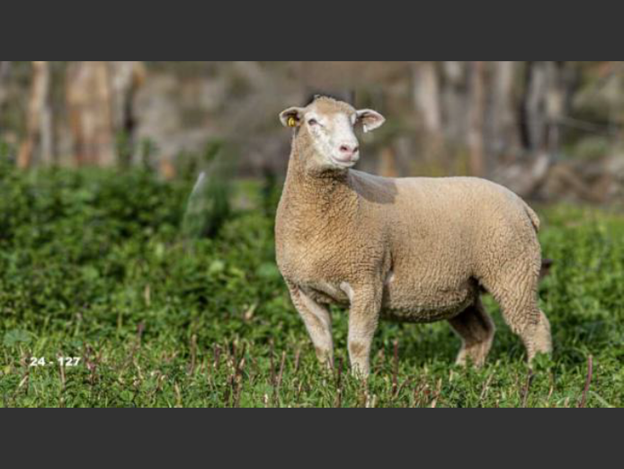 JT 240127 | REMKUIL BOERDERY (EDMS) BPK