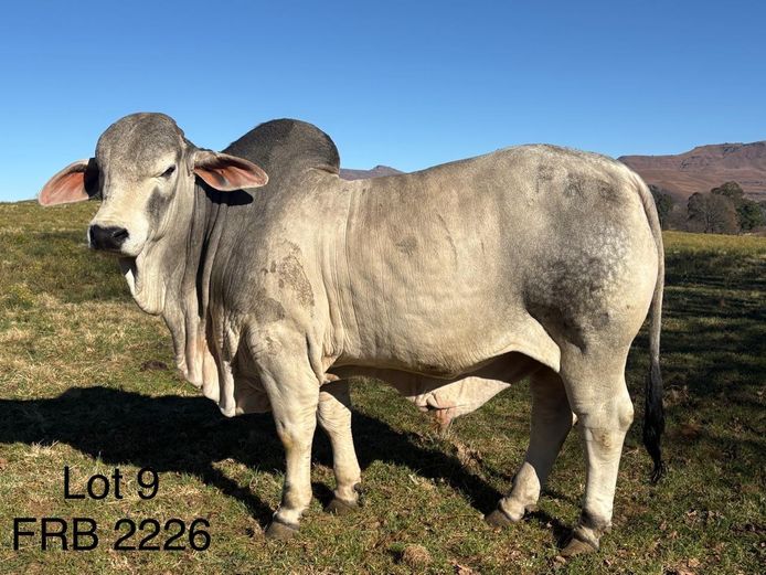 FRB2226 | FALCON RIDGE FARM