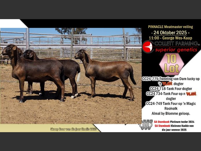 CC  240734 | COLLETT FARMING CC