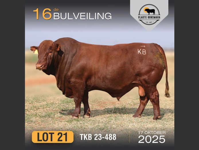 TKB 230488 | TIAN KRUGER BOERDERY PTY LTD
