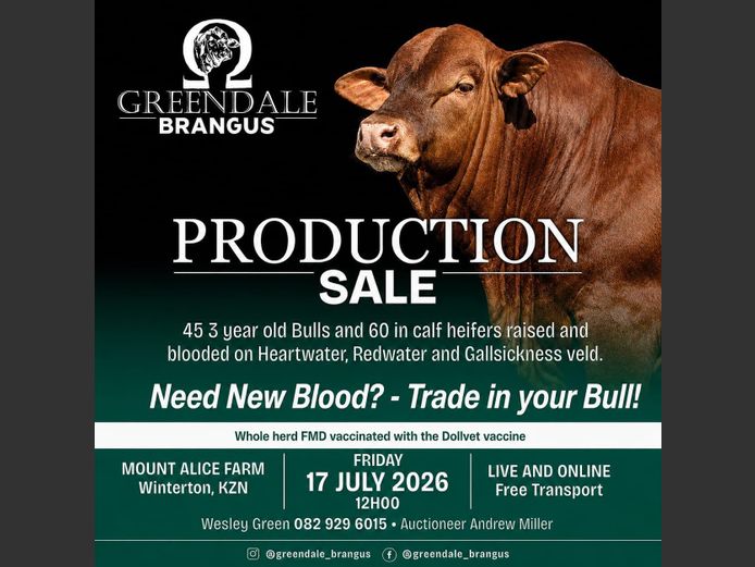 GREENDALE BRANGUS PRODUCTION SALE