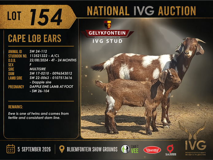 SW24-112 | GELYKFONTEIN STUD