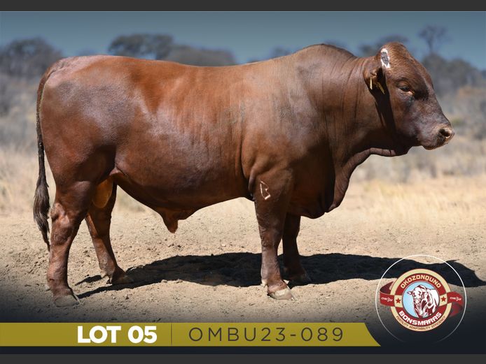 OMBU23-089 | OKOZONDUNO BONSMARAS