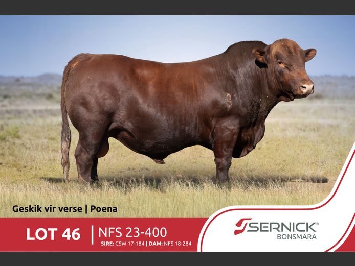 NFS 230400 Pp(c) | SERNICK BONSMARA STOET