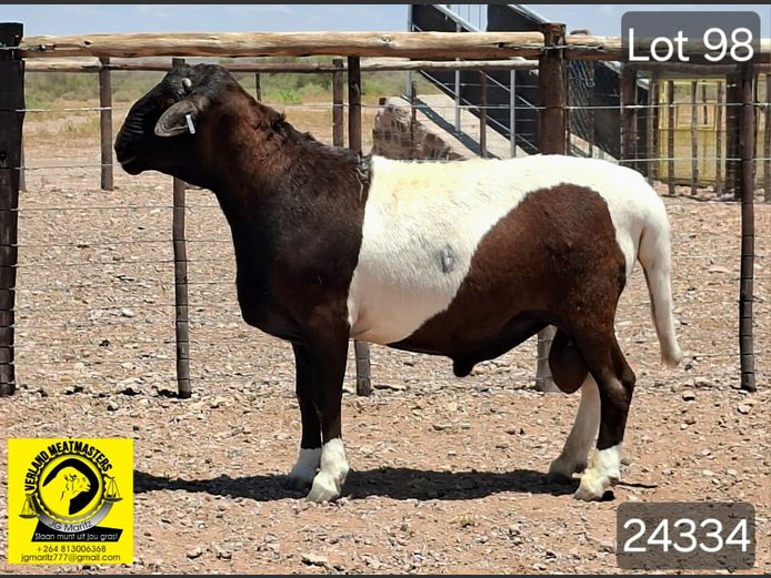 24334 | VERLAND MEATMASTERS 