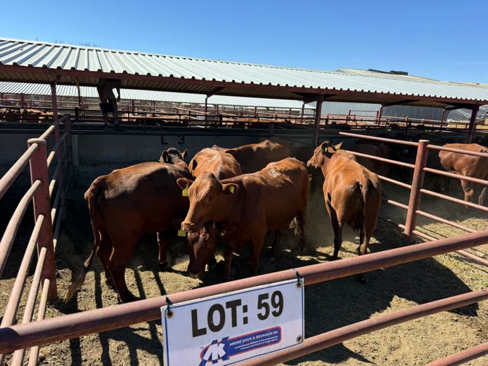 Commercial Animals | Mac Farms