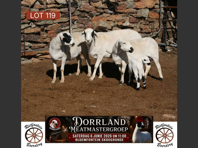 RFB23-060 | Rietfontein Boerdery