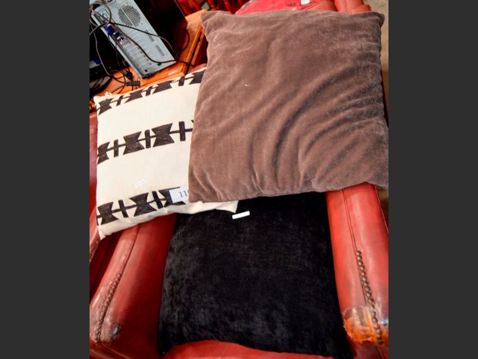 LOT OF 3: SCATTER CUSHIONS