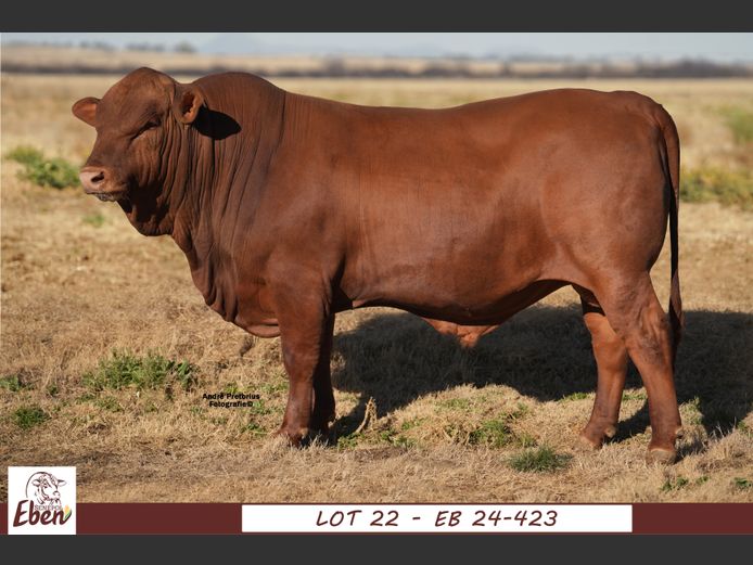 EB 240423 | EBEN SENEPOL