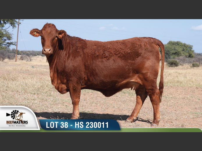 HS 230011 | HARDUS-STEENKAMP