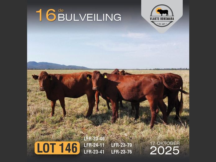 Commercial Animals | MOORDDRIFT BONSMARAS