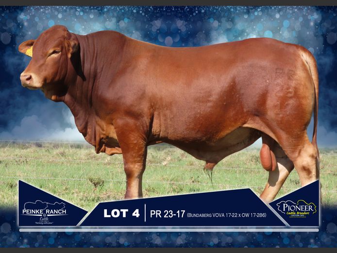 PR 230017 | PEINKE RANCH