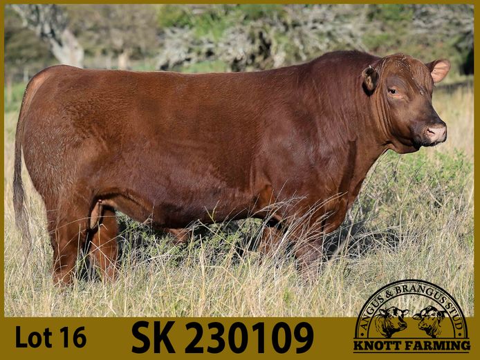 SK 230109 | KNOTT FARMING (PTY) LTD