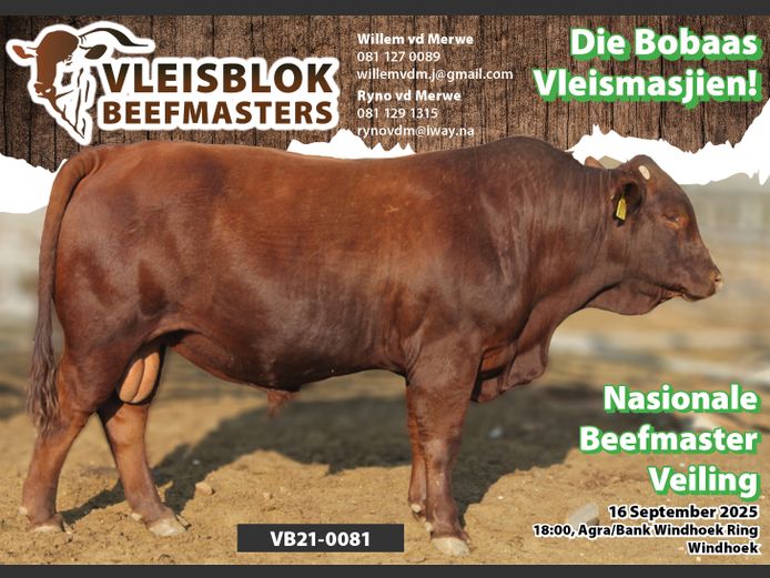 21-0081VB | VLEISBLOK BEEFMASTER