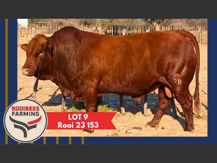 ROOI230153HH(c) | ROOIBEES FARMING PTY LTD