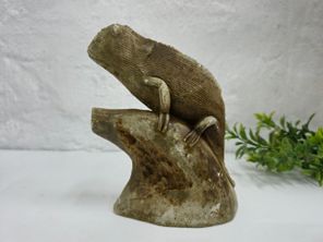 images