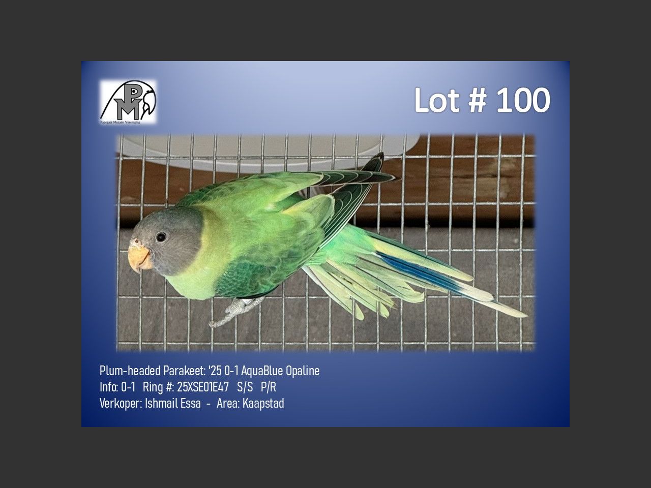 images