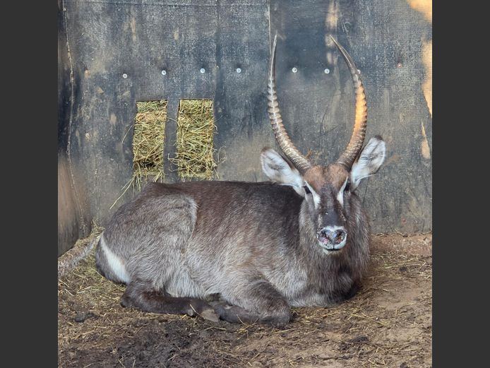 WATERBOK | LEBENKELE
