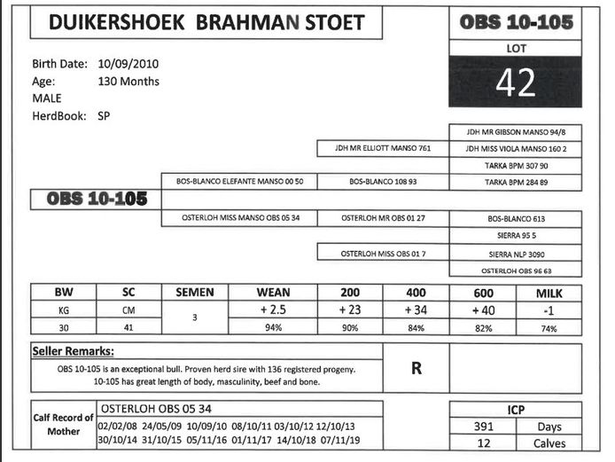 OBS 10-105