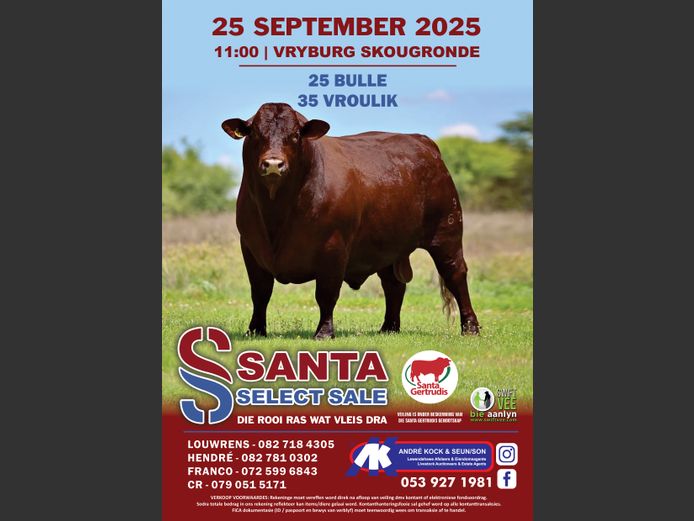 SANTA SELECT SALE 