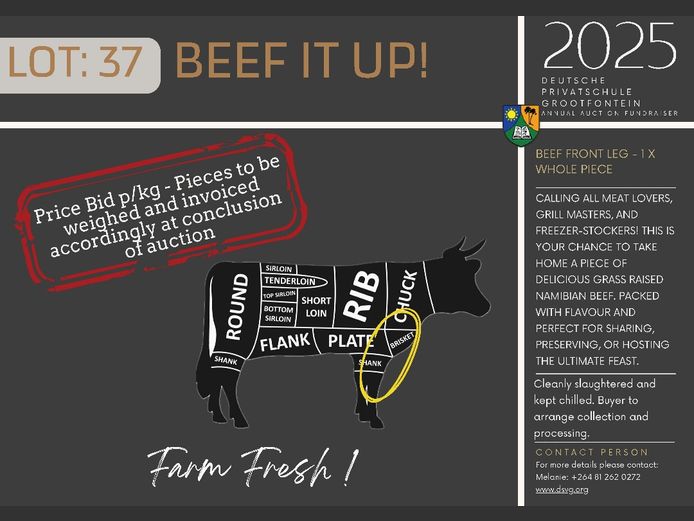BEEF FRONT LEG - 1 XWHOLE PIECE