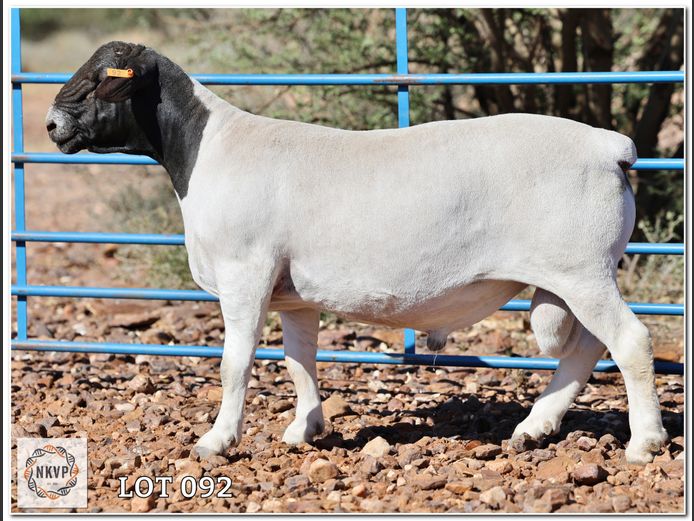 1643 24 0291 | C.C. VAN DEVENTER