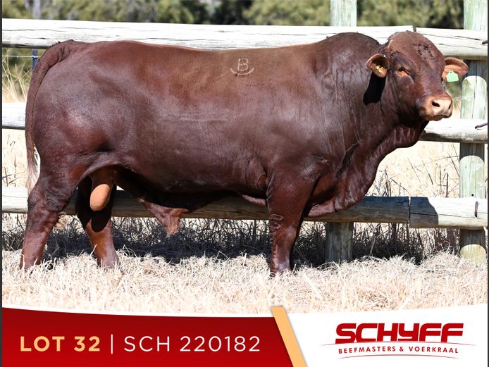 SCH 220182