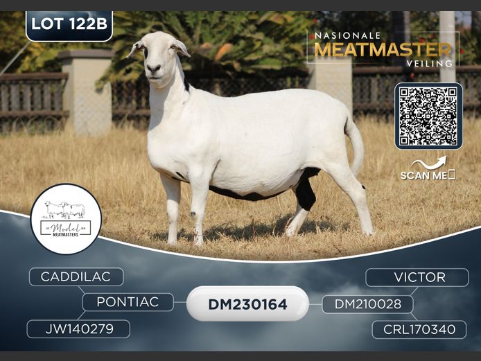 DM 23 0164 | MODEL MEATMASTERS